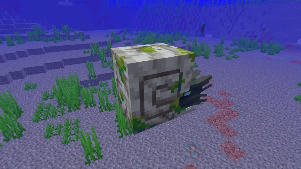 ゾンビオウムガイの見た目