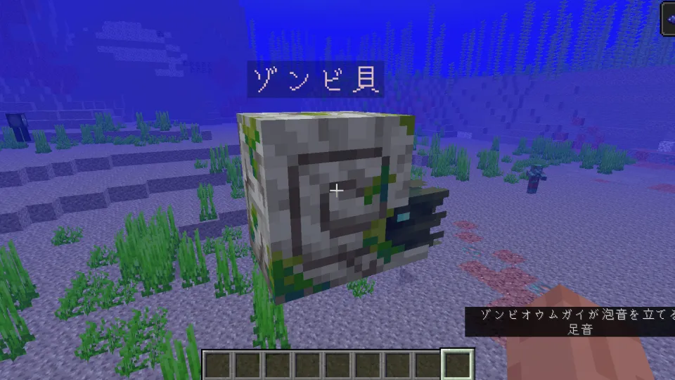 名札でゾンビオウムガイに名前をつける