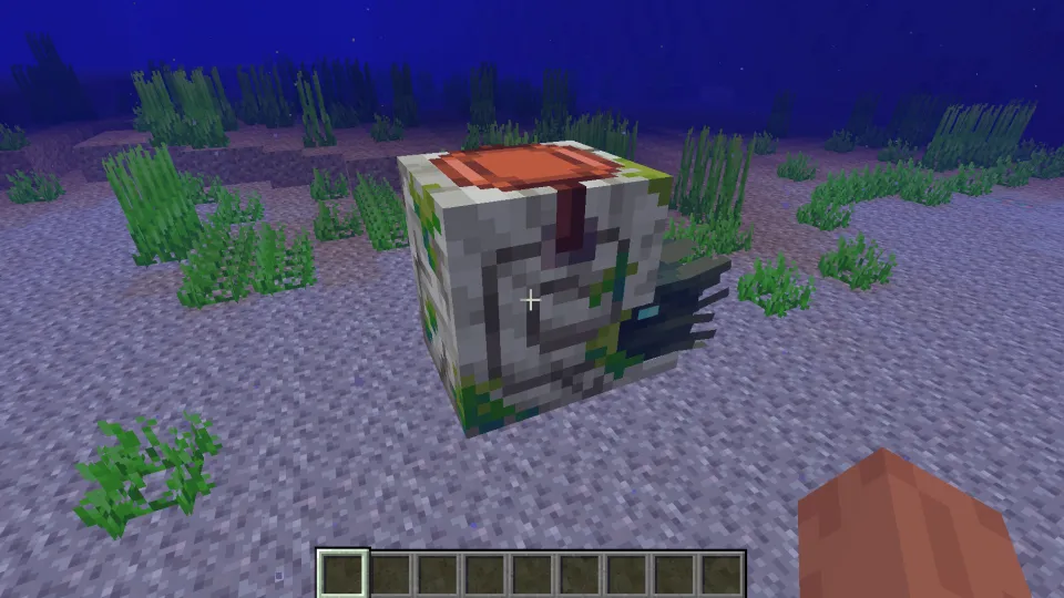 鞍をつけたゾンビオウムガイ