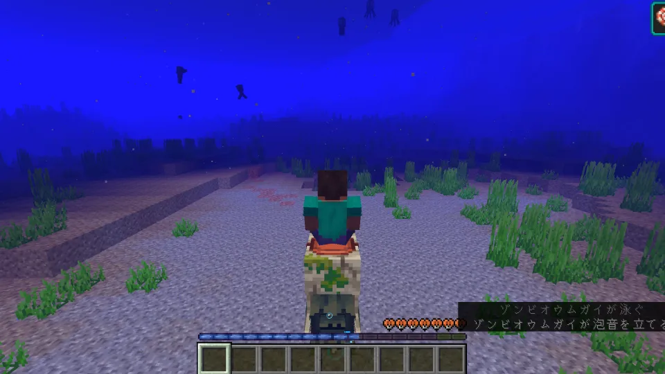 ゾンビオウムガイに乗ってダッシュゲージを表示している