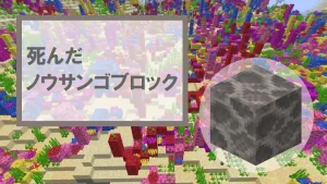 【マイクラ】死んだノウサンゴブロックの特徴・入手方法・使い道を紹介