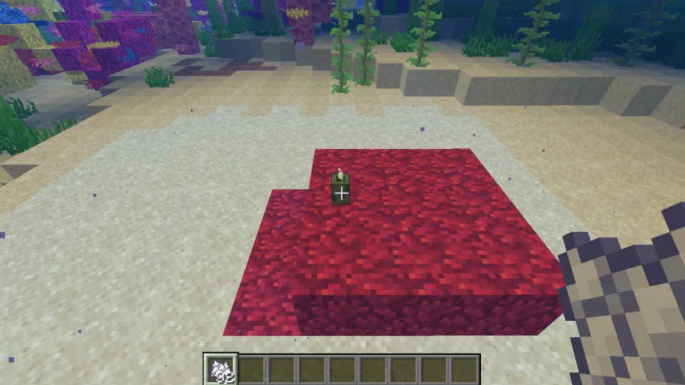 ミレポラサンゴブロックとシーピクルスを設置