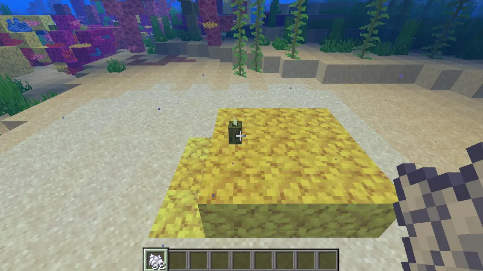 シカツノサンゴブロックとシーピクルスを設置