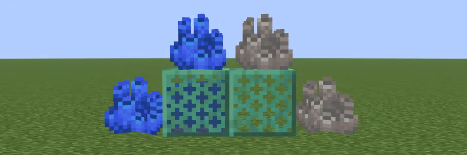 水に触れたクダサンゴと死んだクダサンゴ