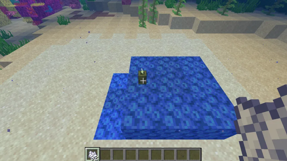 クダサンゴブロックとシーピクルスを設置