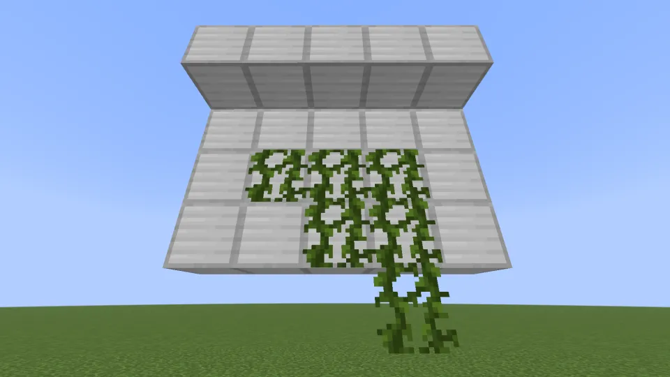 ツタが下方向に成長する様子