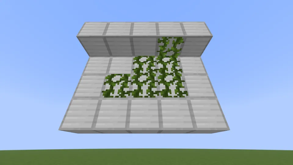 ツタが真上に成長する様子