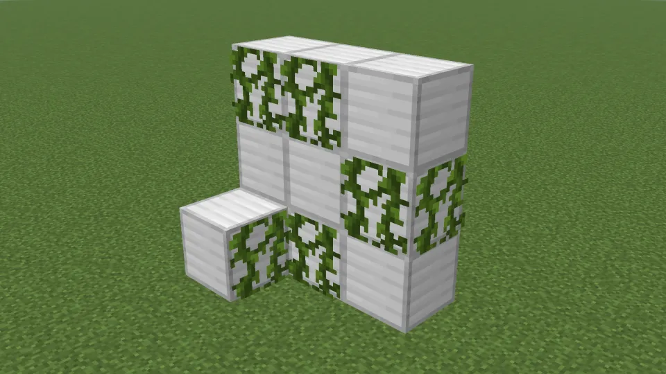 ツタが真横と90度回り込んで成長する様子