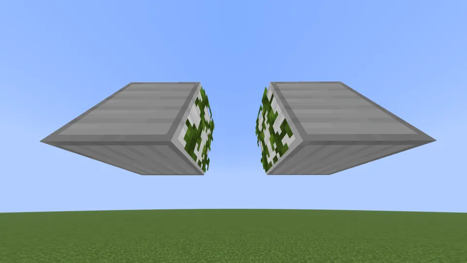 ツタが向かい側に成長する様子