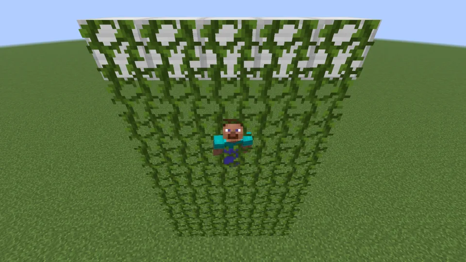 ツタを上る様子