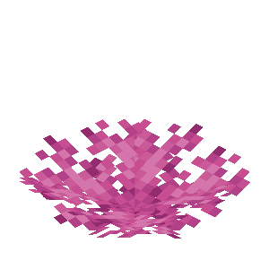 ノウウチワサンゴ