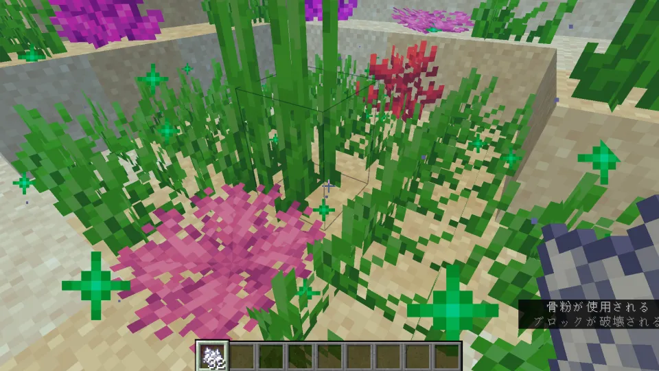 ノウウチワサンゴを骨粉で生成