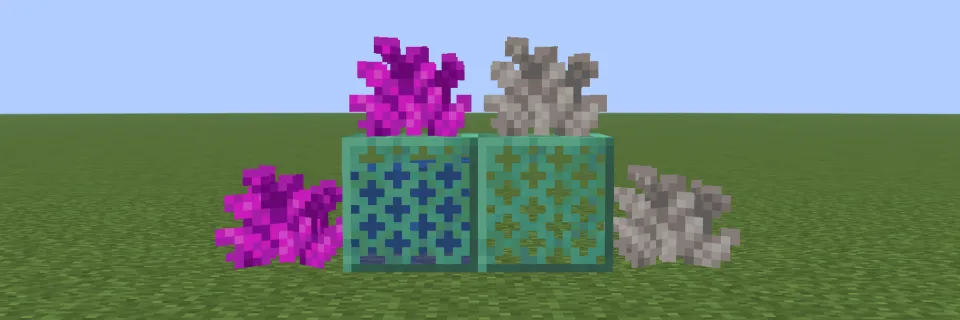 水に触れたミズタマサンゴと死んだミズタマサンゴ