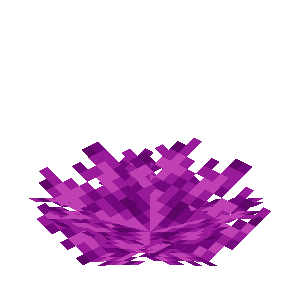 ミズタマウチワサンゴ