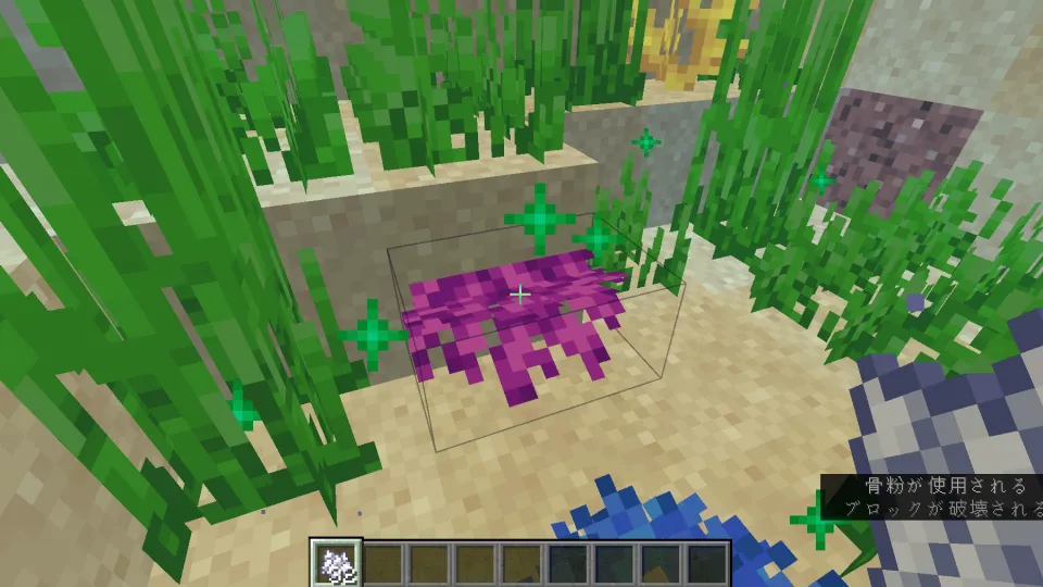 ミズタマウチワサンゴを骨粉で生成