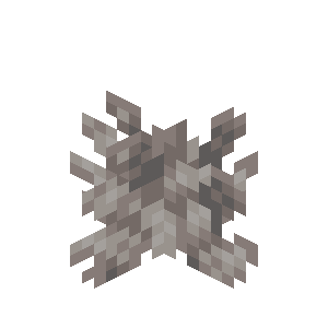 死んだミズタマサンゴ