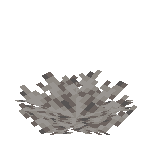 死んだミズタマウチワサンゴ