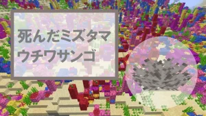 【マイクラ】死んだミズタマウチワサンゴの特徴・入手方法・使い道を紹介