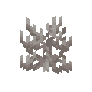 死んだミレポラサンゴ