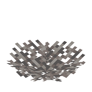 死んだミレポラウチワサンゴ