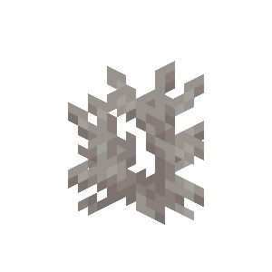 死んだシカツノサンゴ