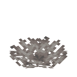 死んだシカツノウチワサンゴ