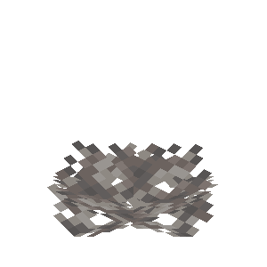 死んだクダウチワサンゴ