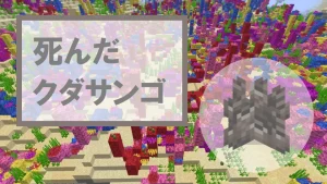 【マイクラ】死んだクダサンゴの特徴・入手方法・使い道を紹介