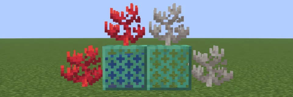 水に触れたミレポラサンゴと死んだミレポラサンゴ