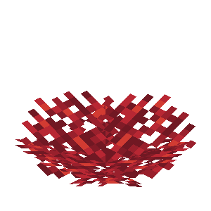 ミレポラウチワサンゴ