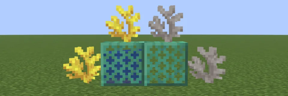 水に触れたシカツノサンゴと死んだシカツノサンゴ