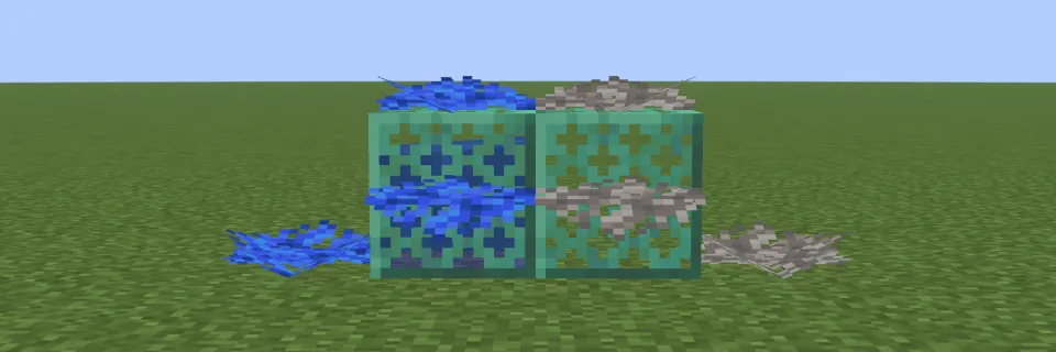 水に触れたクダウチワサンゴと死んだクダウチワサンゴ