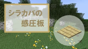 【マイクラ】シラカバの感圧板の特徴・入手方法・使い道を紹介