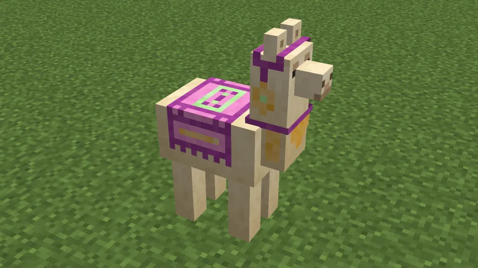 赤紫色のカーペットを装備させたラマ