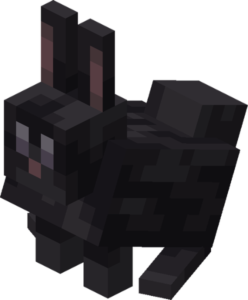 黒色のウサギ