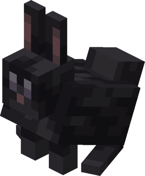 黒色のウサギ