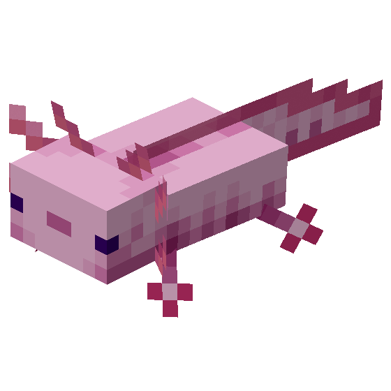 ウーパールーパー