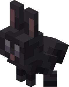 黒色のウサギ(子供)