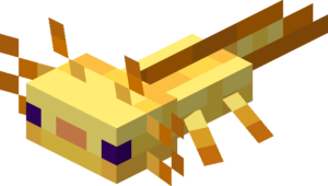 金色(子供)
