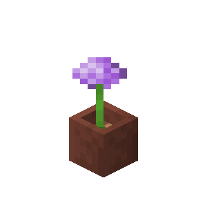 アリウム入り植木鉢