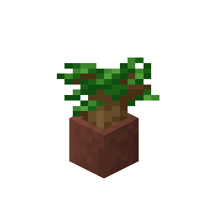 ダークオークの苗木入り植木鉢