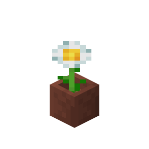 フランスギク入り植木鉢
